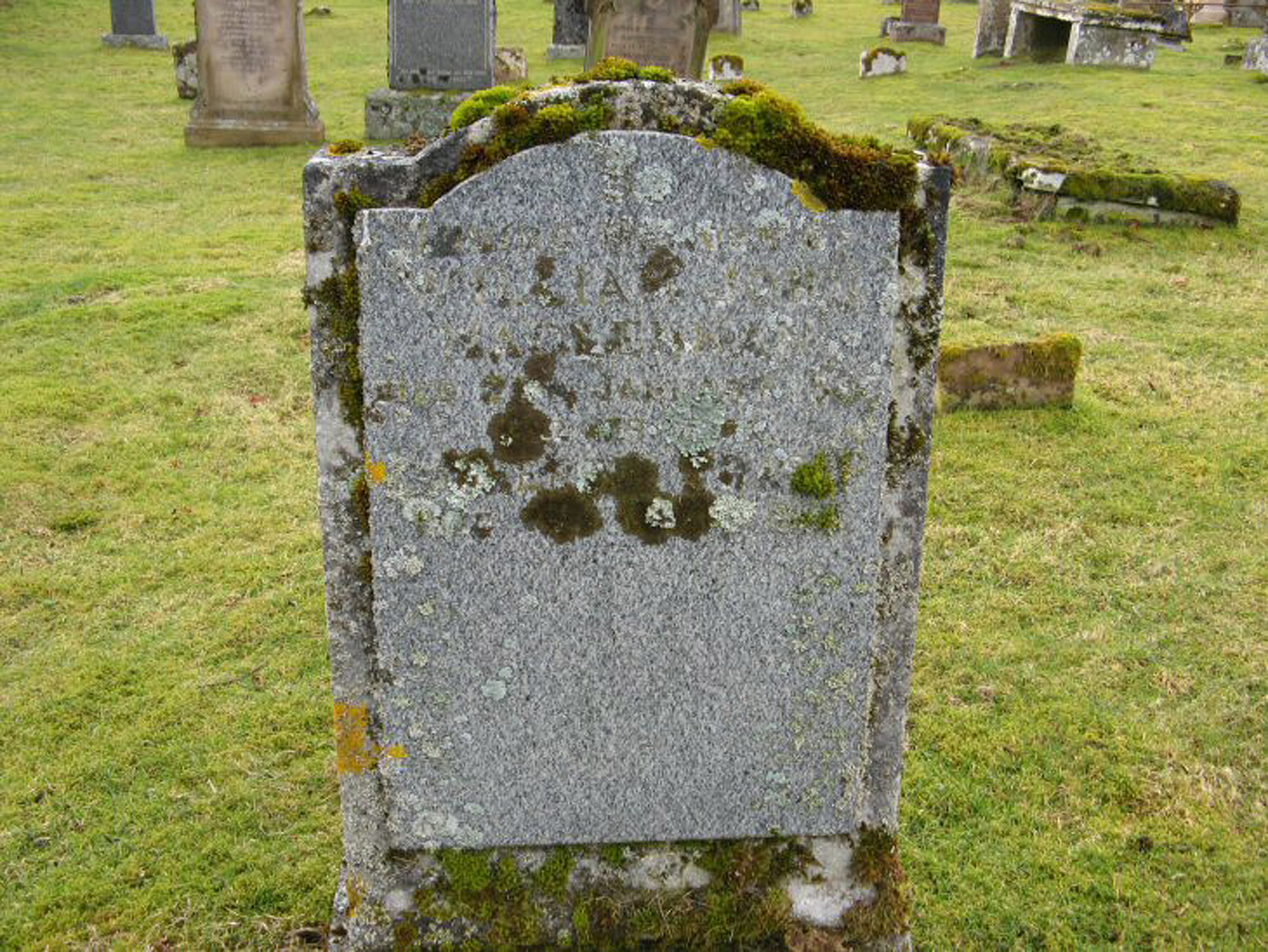 Photo of headstones/William John McLennan died 1955 MI Fodderty